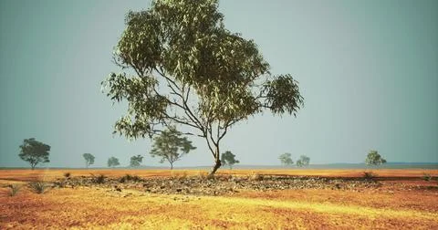 Vibrant landscape featuring a solitary tree in a wide open field at dusk Stock Illustration