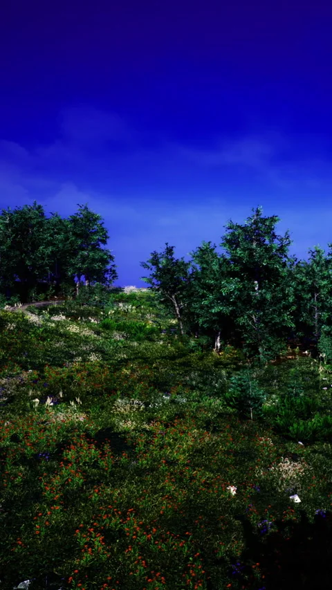 Vibrant landscape under a vast sky filled with colorful flora and trees Stock Footage 335237114
