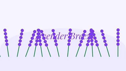 Vibrant lavender field bloom animation, soothing floral background loop 動画素材 336879453