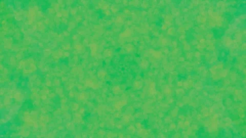 Vibrant lime green bokeh abstract background seamless loop footage Stock Footage 336777042