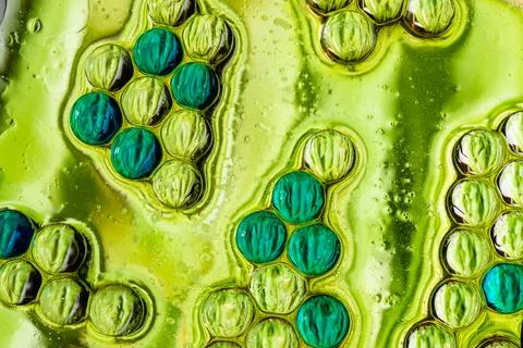 Vibrant lime green bubble pattern in liquid macro science background Stock Photos