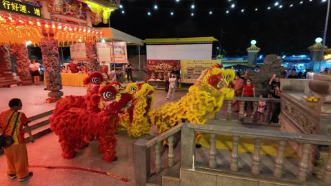 A vibrant lion dance is performed in front of Tow Boo Keong Temple. Video stock 318094858
