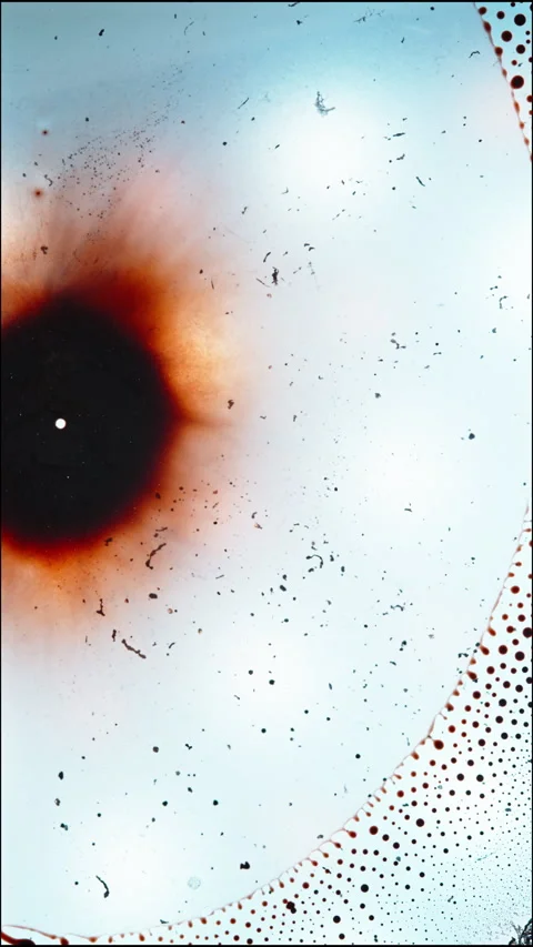 Vibrant Macro Liquid Mixing in a Vertical Abstract View Stock Footage 328968913