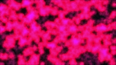 Vibrant magenta texture with black speckles moving slowly across a black ba.. Stock Footage 343420122
