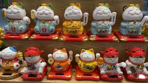 Vibrant Maneki neko Figurines for Luck Stock Footage 288075703