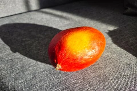 Vibrant Mango on Gray Fabric with Shadow Play Suitable for Kitchen Decor or Food Stock Photos