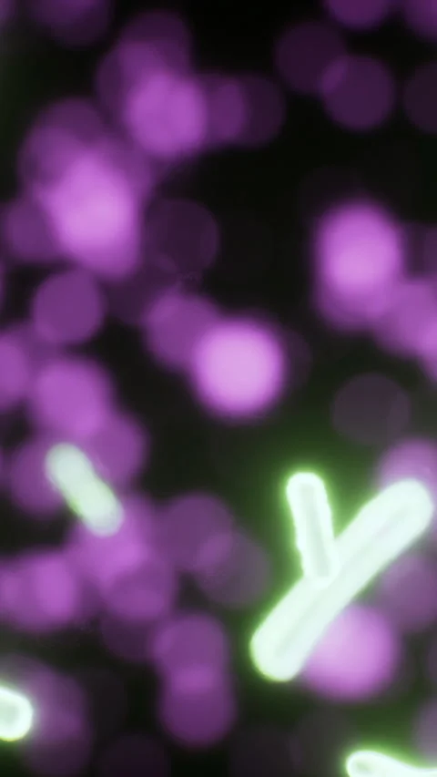Vibrant micro organisms dancing in a colorful world under the microscope Stock Footage 329135935