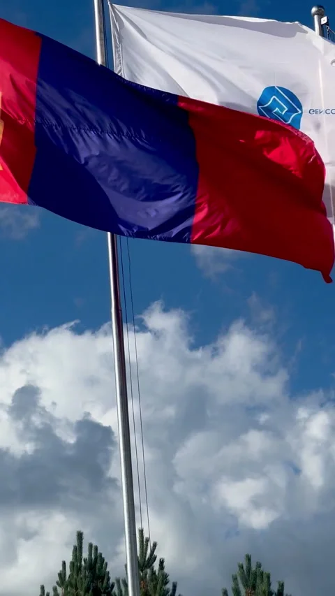 The vibrant Mongolian flag flutters gracefully in the wind Stock Footage 316161853