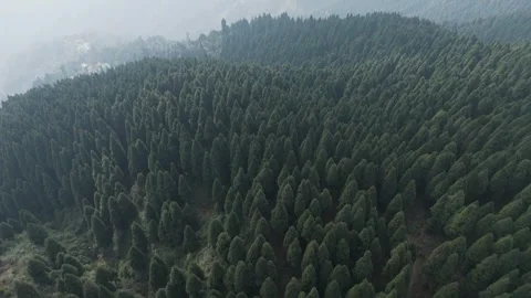 Vibrant mountain greenery, peaceful Himalayan landscapes. 4K drone footage Stock Footage 341963495