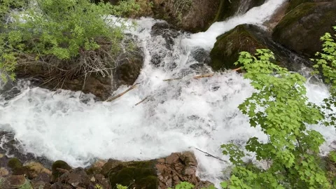 Vibrant Mountain Stream Cascading Over Rocks and Green Foliage Jiuzhaigou China Stock Footage 338373067