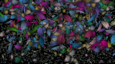 Vibrant Multicolored Feather Background With Dynamic Motion Effect Stock Footage 295060904