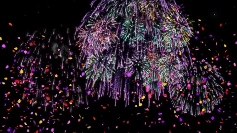 Vibrant multicolored fireworks display exploding against a deep black night sky Stock Footage 338389517