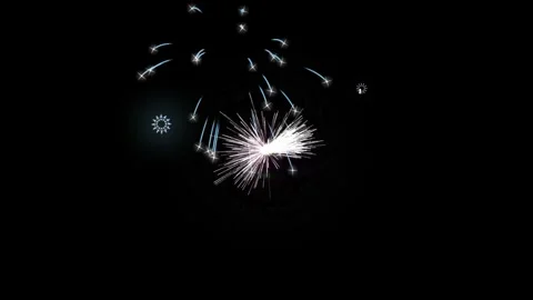Vibrant multicolored fireworks display exploding against deep black night sky Stock Footage 345134669