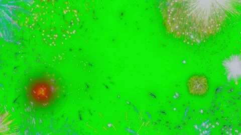 Vibrant multicolored fireworks explosions displaying against solid vivid green Vídeo Stock 344240133
