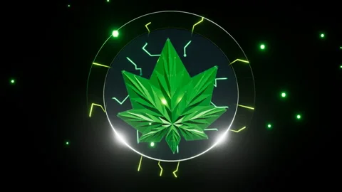A vibrant neon leaf emblem, 4K Stock Footage 337572417