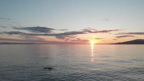Vibrant ocean sunset reflecting across calm water captured by low forward Vidéo 333939965