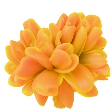 Vibrant orange abstract 3D flower bloom isolated on white background. Stock Illustration