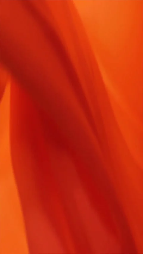 Vibrant orange abstract background. Gradient colorful texture Stock Footage 339778273