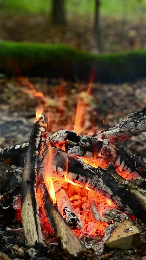 Vibrant orange and yellow flames engulfing burning timber logs in close-up. Stock Footage 346290060