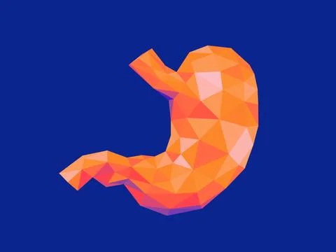 Vibrant orange low-poly stomach isolated against a deep blue Stock Illustration
