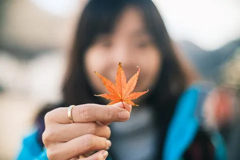 A vibrant orange maple leaf, held delicately Stock Photos
