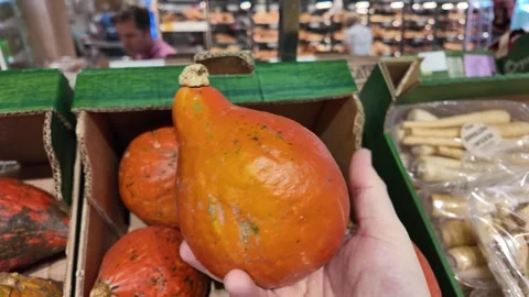 Vibrant Orange Squash for Thanksgiving Stock Footage 284148411