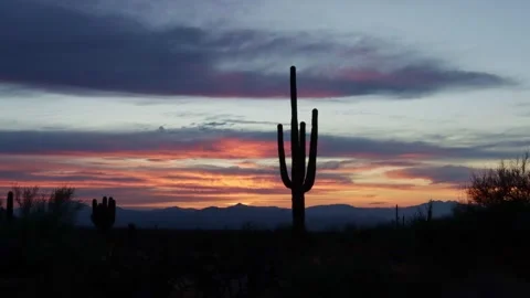 Vibrant &amp; Panoramic AZ Desert Sunrise Time-Lapse Footage With Cactus Stock Footage 344699563