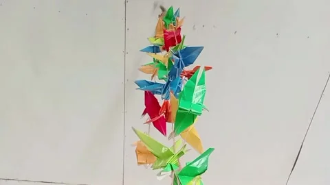 Vibrant paper bird Stock Footage 304564581