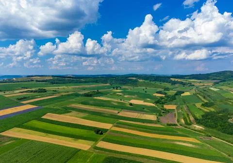 Vibrant patchwork agricultural fields in a rural landscape 库存照片