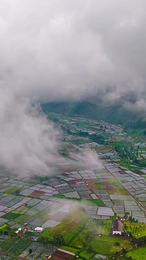 A Vibrant Patchwork of Farmland Unfolds Beneath Drifting Clouds in Lombok Video stock 309743896
