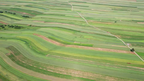 Vibrant patchwork of fields showcases agricultural beauty in summer light Stock Footage 320161147