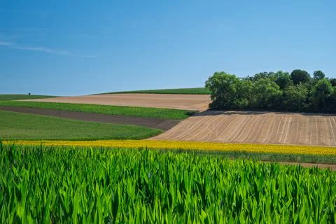 Vibrant Patchwork of Rural Fields Stock Photos