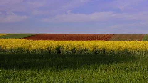 Vibrant Patchwork of Springtime Crop Fields Stock-Fotos