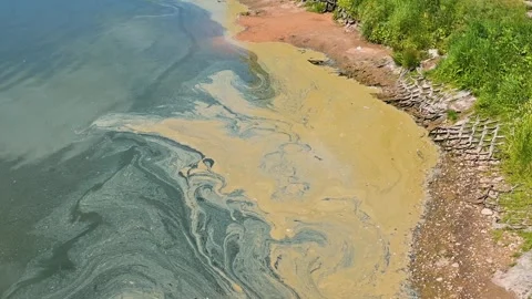 Vibrant patterns of algae bloom appearing on the surface of water near a Stockbeeldmateriaal 344440733