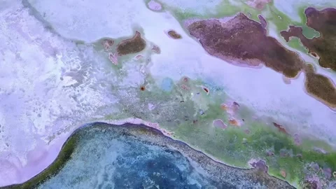 Vibrant Patterns of a High Altitude Salt Lake Shore Qinghai-Tibet Plateau China Stock Footage 339513670