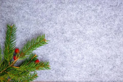 A vibrant pine branch adorned with red berries rests on a textured gray surfa Stock Photos