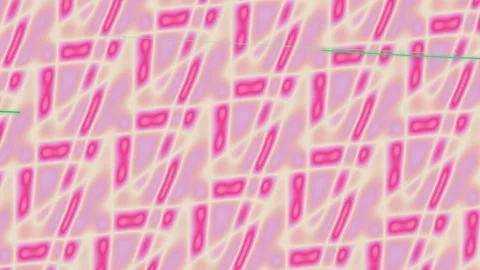 Vibrant Pink Abstract Pattern Background Animation. Stock Footage 330956252