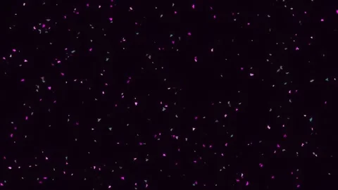 Vibrant pink glitter dust falling on black background for magical effects Stock Footage 342207994