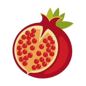 Vibrant Pomegranate Fruit Slice Vector Illustration Healthy Eating Concept Stock Illustration