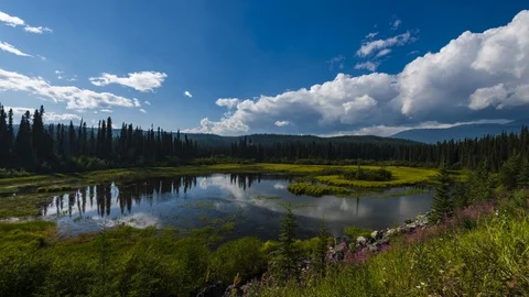 Vibrant pond in the mountains Stock Footage 113996550