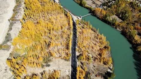 Vibrant poplar trees hug the river’s edge in Kargil’s golden season. Stock Footage 310782301