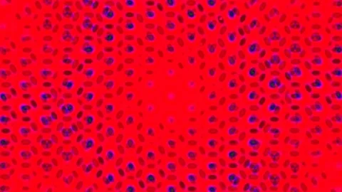 Vibrant Psychedelic Digital Abstract Background Pattern - Flowing Purple Bl.. Stock Footage 339786055