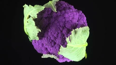 Vibrant purple cauliflower head rotating on black background showing organic Stock Footage 340951150