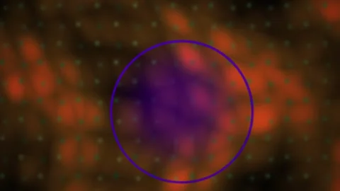 Vibrant purple circle on orange background with white dots. Stock Footage 336710536