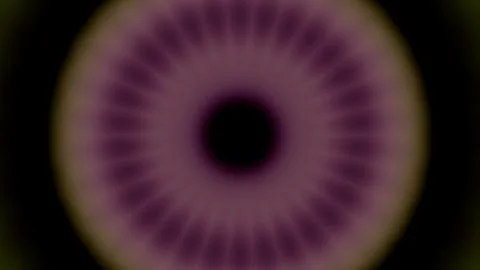 Vibrant purple rays glow from center against deep black background Illustrazione stock