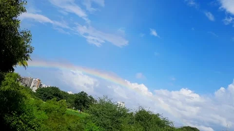 Vibrant Rainbow Appears Over Urban Green Landscape As Birds Fly By Stock-Footage 346376818