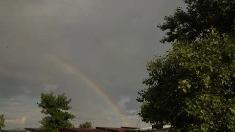 Vibrant rainbow arcs across a cloudy sky above lush green trees Stock Footage 337129063