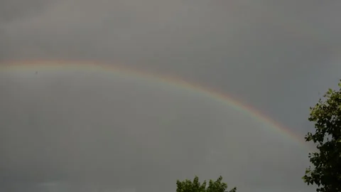 Vibrant rainbow arcs across a cloudy sky with lush green trees below Stock Footage 337129440