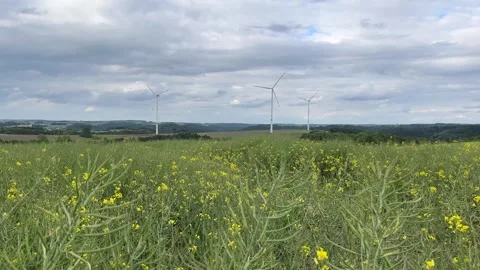 Vibrant Rape Fields with Wind Turbines in Background Video stock 335050585