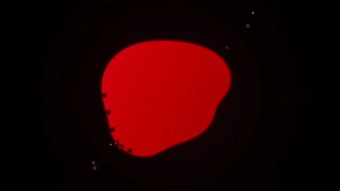 Vibrant red abstract wave fluid animation on black background Stock Footage 344517879